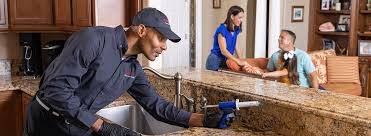 Best Termite Inspection and Treatment  in USA